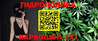mdma Аргун