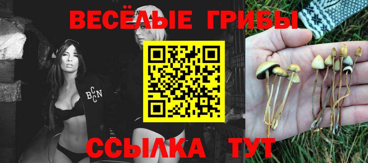 Псилоцибиновые грибы мицелий Воткинск